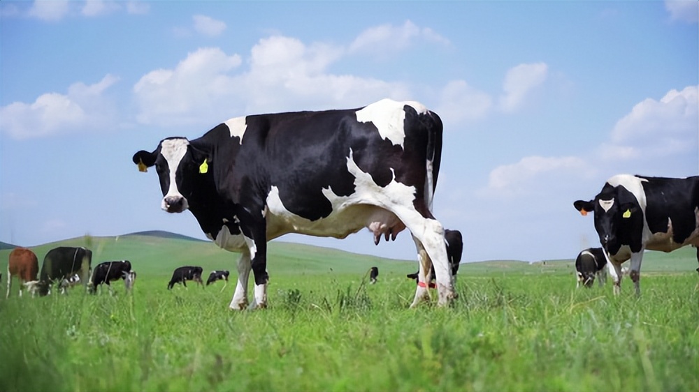 8f80e4c63b3046e4b3052f0ab5a5ef77~tplv-tt-origin-web_gif